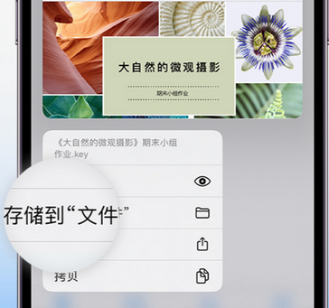 福贡apple维修中心分享iPhone文件应用中存储和找到下载文件