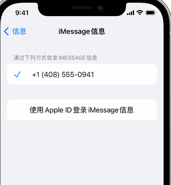 福贡apple维修iPhone上无法正常发送iMessage信息 