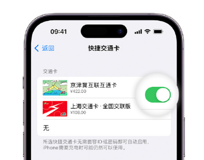 福贡apple维修点分享iPhone上更换Apple Pay快捷交通卡手绘卡面 