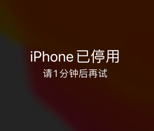 福贡苹果手机维修分享:iPhone 显示“不可用”或“已停用”怎么办？还能保留数据吗？ 