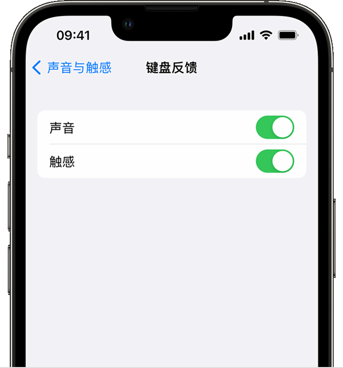 福贡苹果14维修店分享如何在 iPhone 14 机型中使用触感键盘 