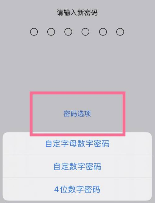 福贡苹果14维修分享iPhone 14plus设置密码的方法 