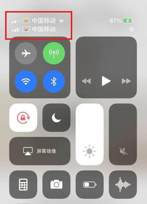福贡苹果手机维修分享为 iPhone 12 双卡设置标签 
