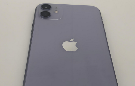 福贡苹果11系统维修分享iPhone11手机系统崩溃无法开机如何解决 